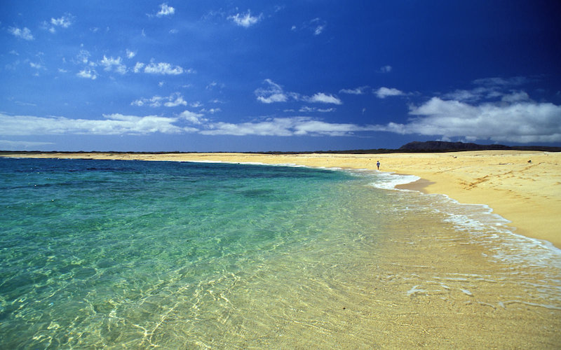 hawaii budget vluchten
